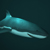 Sharkey