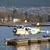 Harbour Air