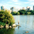 Stanley Park