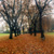 Stanley Park Fall