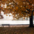 Stanley Park Fall