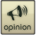 Opinion Opinion